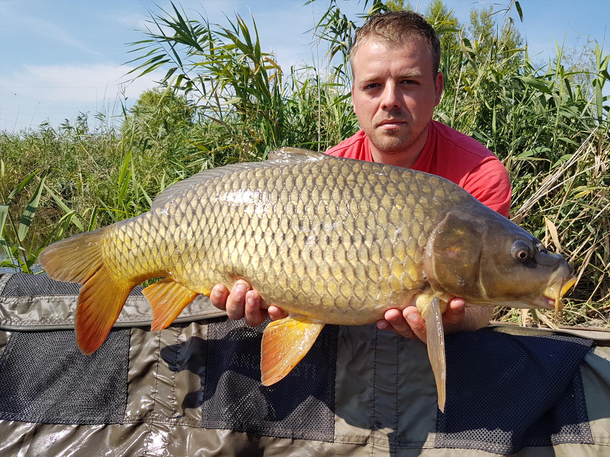 Tancabesti 5 - 8 sep. - 20170908151744.jpg